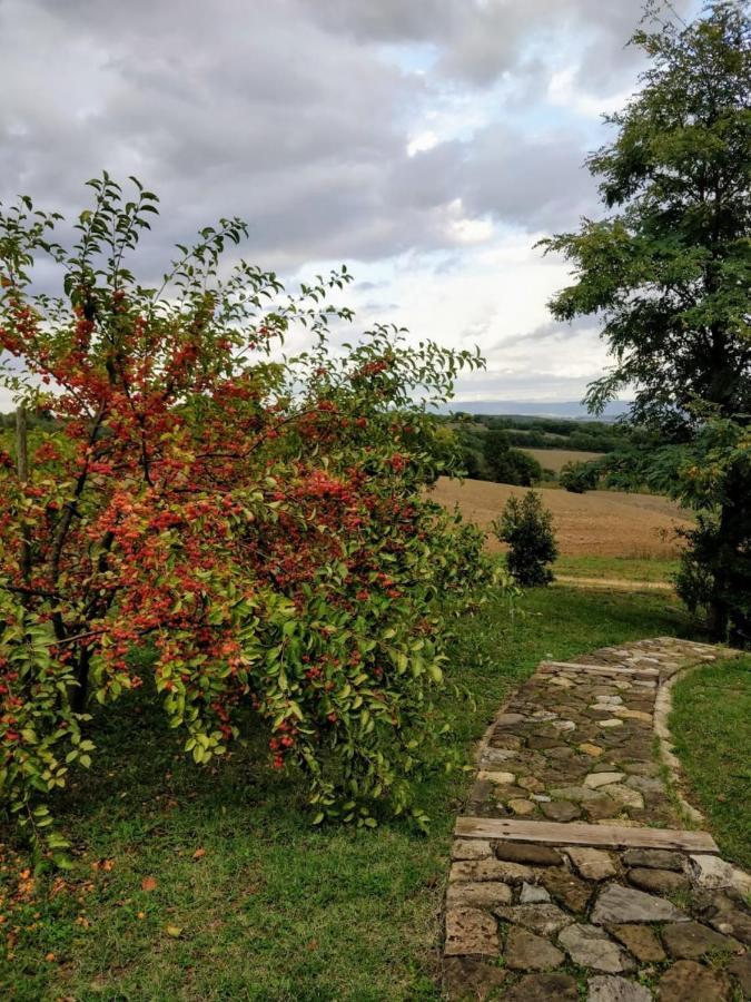 La Casa Di Arianna Bed & Breakfast Casole dʼElsa Eksteriør bilde
